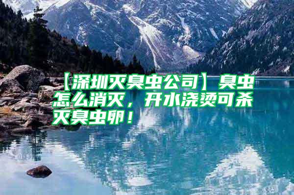 【深圳滅臭蟲公司】臭蟲怎么消滅,開水澆燙可殺滅臭蟲卵!