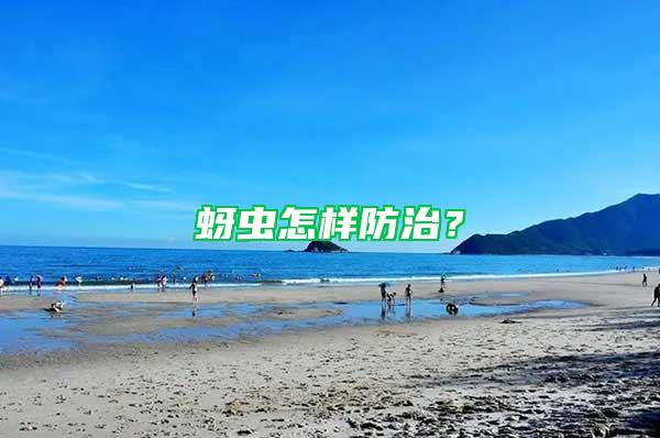 蚜蟲怎樣防治？