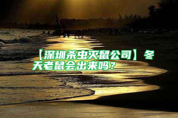 【深圳殺蟲滅鼠公司】冬天老鼠會出來嗎？