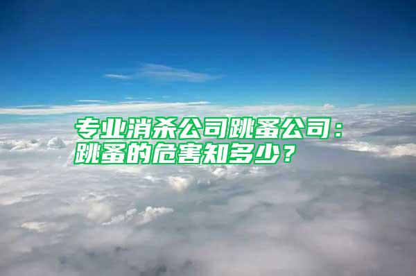 專業消殺公司跳蚤公司：跳蚤的危害知多少？