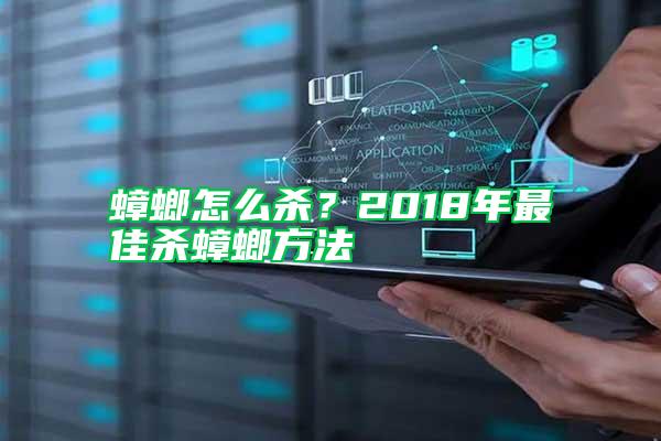 蟑螂怎么殺?2018年最佳殺蟑螂方法