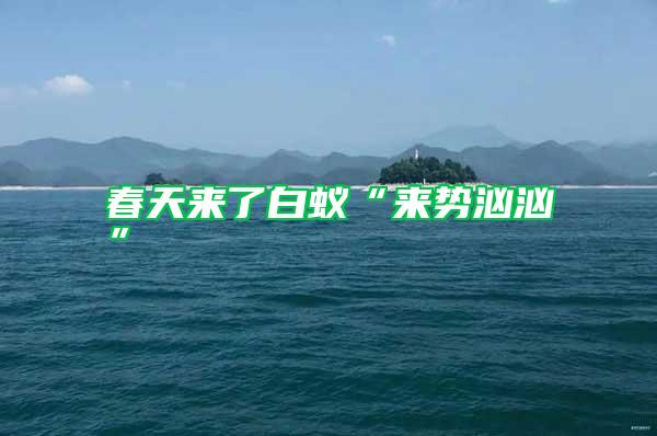 春天來了白蟻“來勢洶洶”
