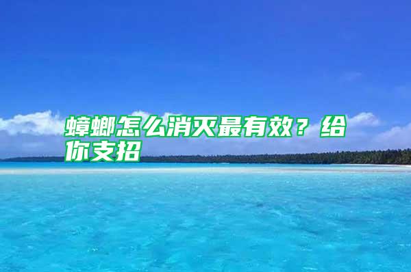 蟑螂怎么消滅最有效?給你支招