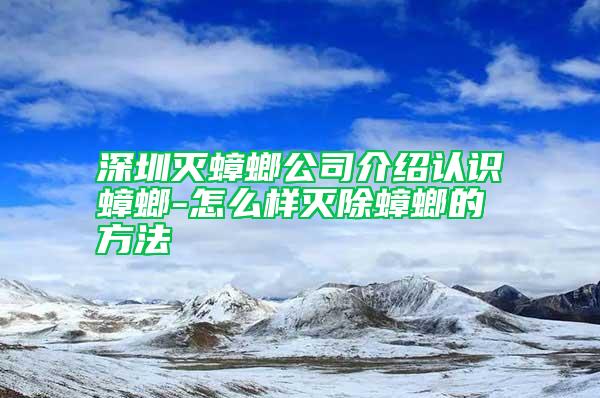 深圳滅蟑螂公司介紹認識蟑螂-怎么樣滅除蟑螂的方法