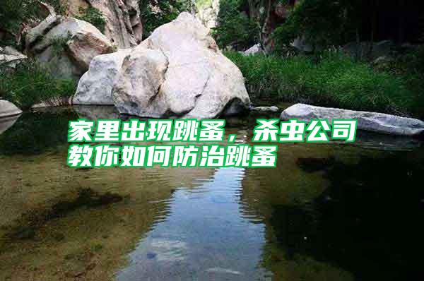 家里出現(xiàn)跳蚤，殺蟲公司教你如何防治跳蚤
