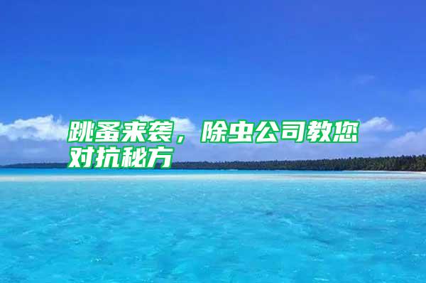 跳蚤來襲，除蟲公司教您對抗秘方