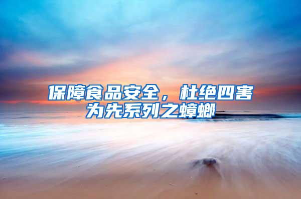 保障食品安全,杜絕四害為先系列之蟑螂