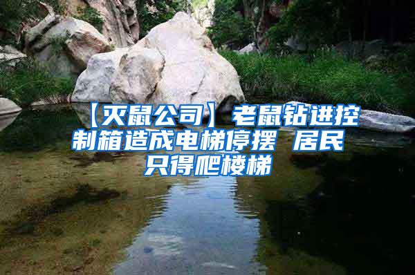 【滅鼠公司】老鼠鉆進控制箱造成電梯停擺 居民只得爬樓梯