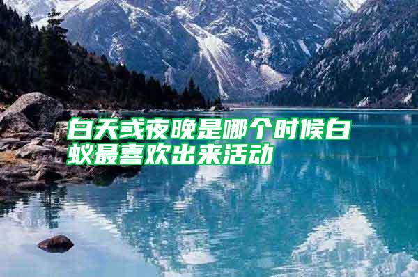 白天或夜晚是哪個時候白蟻最喜歡出來活動