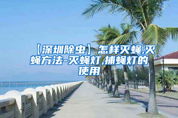【深圳除蟲】怎樣滅蠅,滅蠅方法-滅蠅燈,捕蠅燈的使用