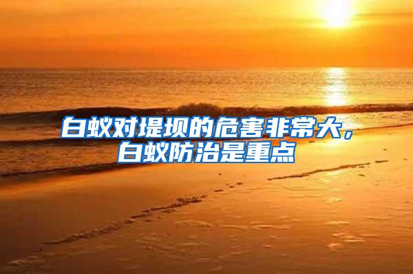 白蟻對堤壩的危害非常大，白蟻防治是重點