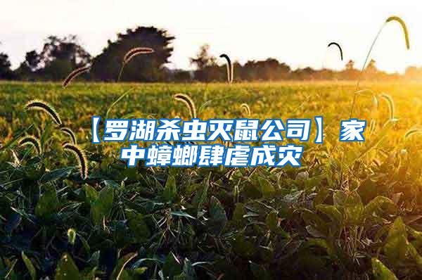 【羅湖殺蟲滅鼠公司】家中蟑螂肆虐成災