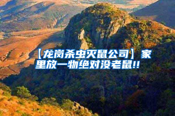 【龍崗殺蟲滅鼠公司】家里放一物絕對沒老鼠!!