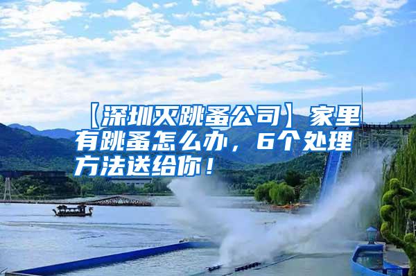 【深圳滅跳蚤公司】家里有跳蚤怎么辦，6個(gè)處理方法送給你！