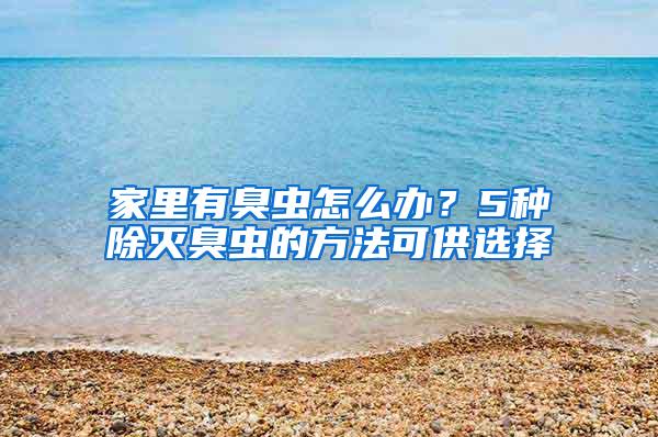 家里有臭蟲怎么辦？5種除滅臭蟲的方法可供選擇