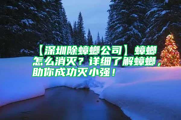 【深圳除蟑螂公司】蟑螂怎么消滅？詳細了解蟑螂，助你成功滅小強！