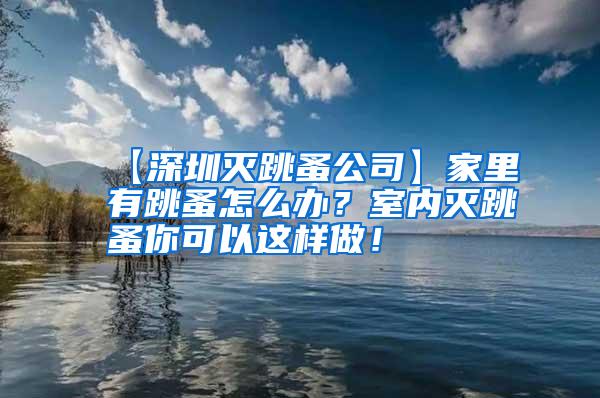 【深圳滅跳蚤公司】家里有跳蚤怎么辦？室內滅跳蚤你可以這樣做！