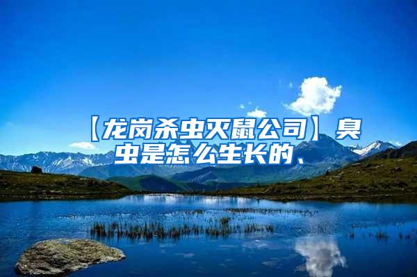【龍崗殺蟲滅鼠公司】臭蟲是怎么生長的、