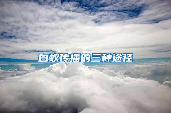 白蟻傳播的三種途徑