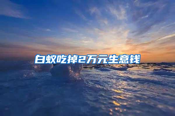 白蟻吃掉2萬元生意錢