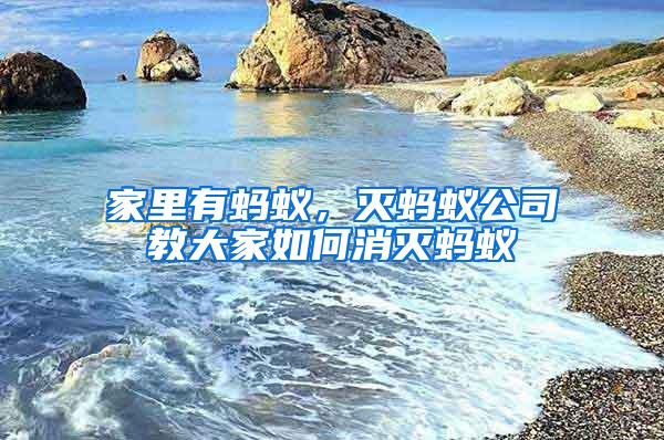 家里有螞蟻，滅螞蟻公司教大家如何消滅螞蟻