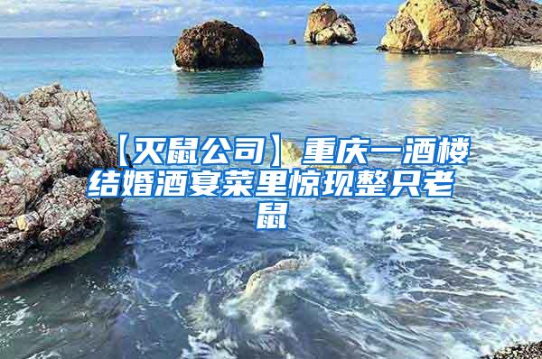 【滅鼠公司】重慶一酒樓結婚酒宴菜里驚現整只老鼠