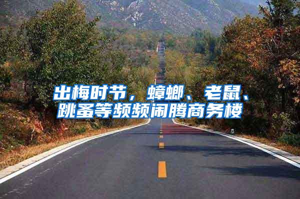 出梅時節,蟑螂、老鼠、跳蚤等頻頻鬧騰商務樓