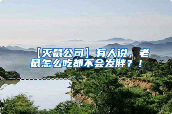 【滅鼠公司】有人說，老鼠怎么吃都不會發胖？！