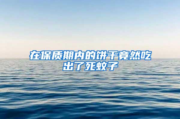 在保質(zhì)期內(nèi)的餅干竟然吃出了死蚊子