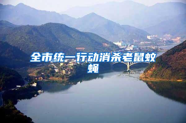 全市統(tǒng)一行動消殺老鼠蚊蠅