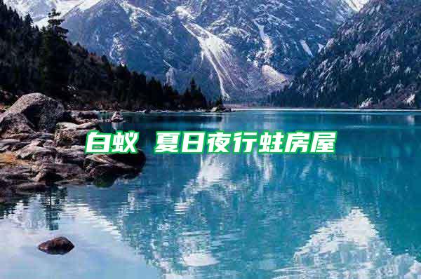 白蟻 夏日夜行蛀房屋