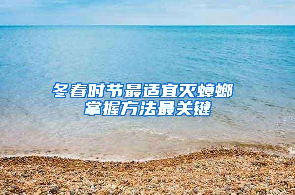 冬春時節最適宜滅蟑螂 掌握方法最關鍵