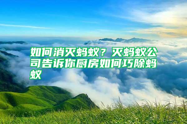 如何消滅螞蟻？滅螞蟻公司告訴你廚房如何巧除螞蟻