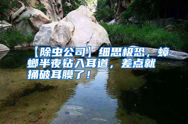 【除蟲公司】細思極恐,蟑螂半夜鉆入耳道,差點就捅破耳膜了!