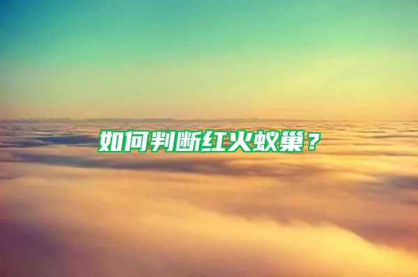 如何判斷紅火蟻巢？