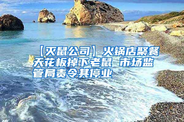 【滅鼠公司】火鍋店聚餐天花板掉下老鼠 市場監管局責令其停業