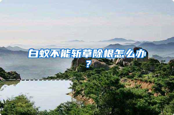 白蟻不能斬草除根怎么辦?