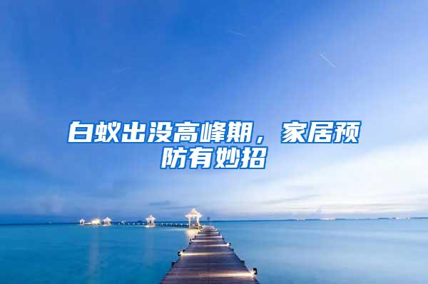白蟻出沒高峰期,家居預防有妙招
