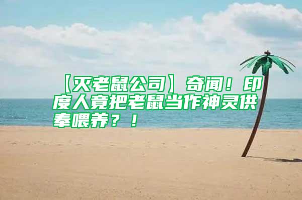 【滅老鼠公司】奇聞!印度人竟把老鼠當作神靈供奉喂養?!