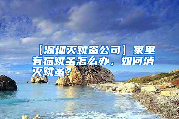 【深圳滅跳蚤公司】家里有貓?zhí)樵趺崔k，如何消滅跳蚤？