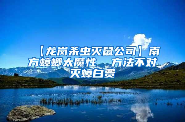 【龍崗殺蟲滅鼠公司】南方蟑螂太魔性 方法不對滅蟑白費