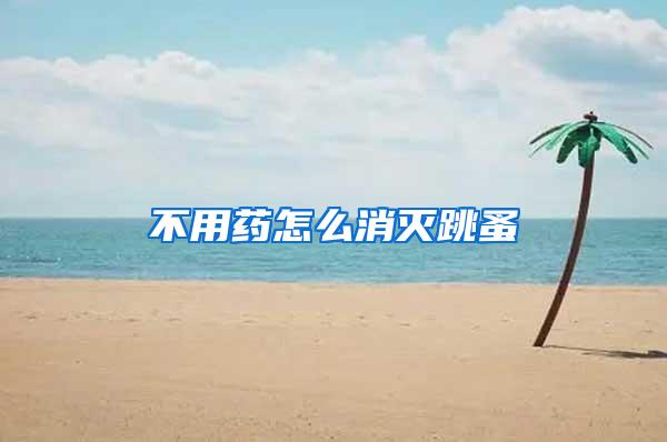 不用藥怎么消滅跳蚤