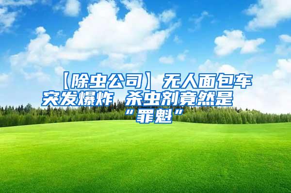 【除蟲公司】無人面包車突發爆炸 殺蟲劑竟然是“罪魁”
