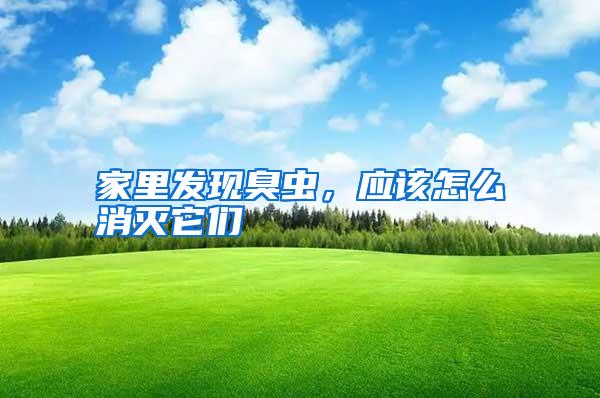 家里發現臭蟲，應該怎么消滅它們