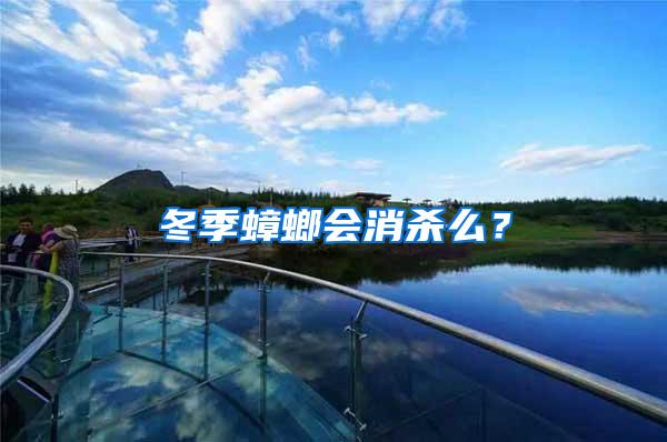 冬季蟑螂會消殺么？