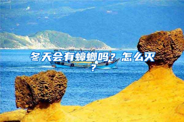 冬天會有蟑螂嗎？怎么滅？