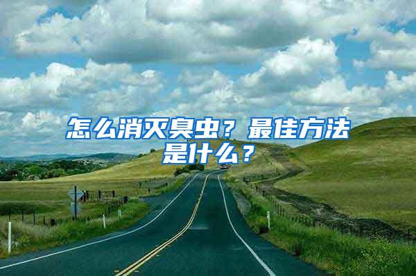 怎么消滅臭蟲？最佳方法是什么？
