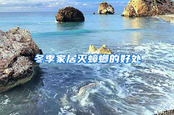 冬季家居滅蟑螂的好處