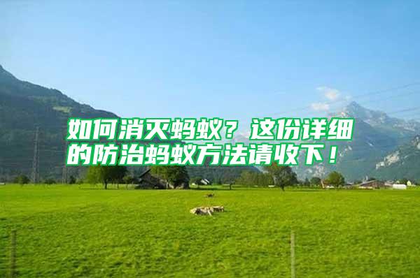 如何消滅螞蟻？這份詳細的防治螞蟻方法請收下！