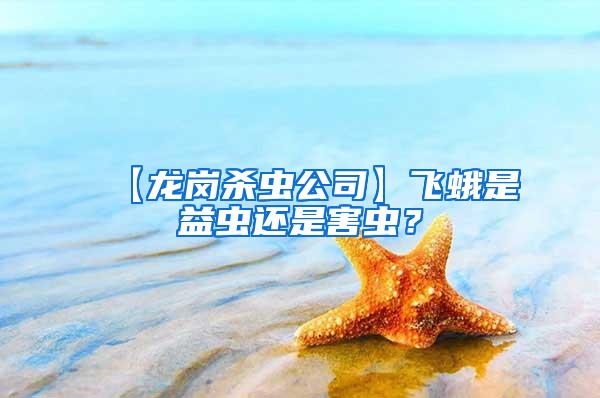 【龍崗殺蟲公司】飛蛾是益蟲還是害蟲?